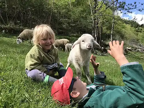 les enfants jouent avec le petit agneau