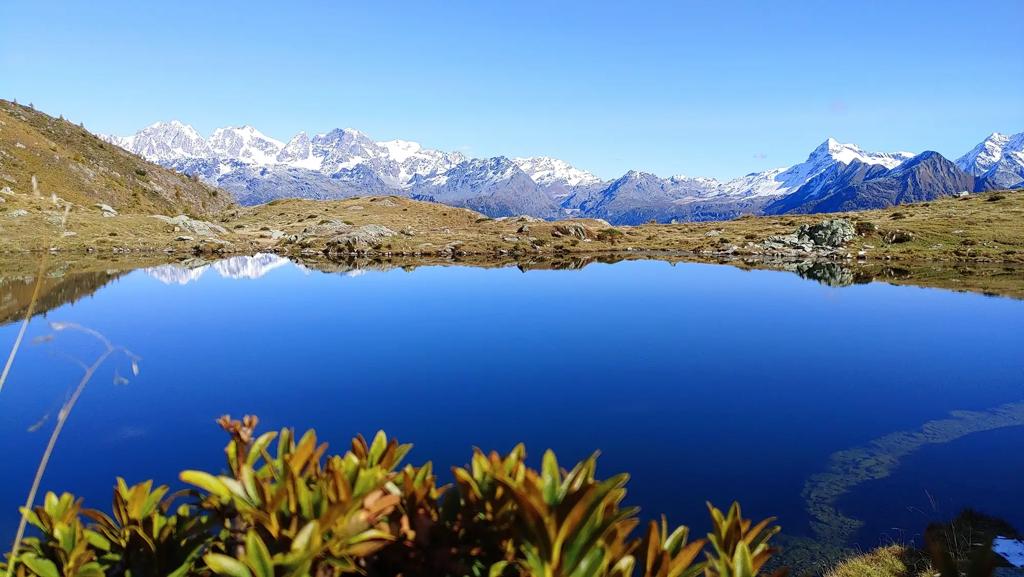 vue sur les Alpes, lac de montagne