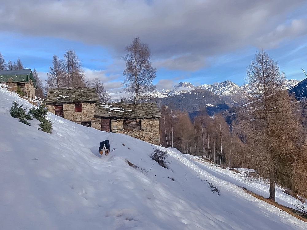 chemin avec de la neige