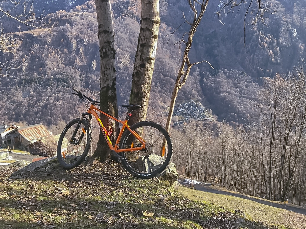 cycling in the meadows